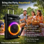 Rowa Singapore RH-EK1203TL Portable Trolley Speaker - Image 7