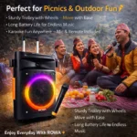 Rowa Singapore RH-EK1203TL Portable Trolley Speaker - Image 6