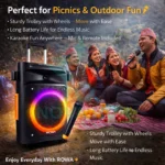 Rowa Singapore RH-EK1203TL Portable Trolley Party Speaker - Image 6