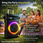 Rowa Singapore RH-EK1203TL Portable Trolley Party Speaker - Image 7
