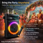 Rowa Singapore RH-EK1203TL Portable Trolley Party Speaker - Image 5